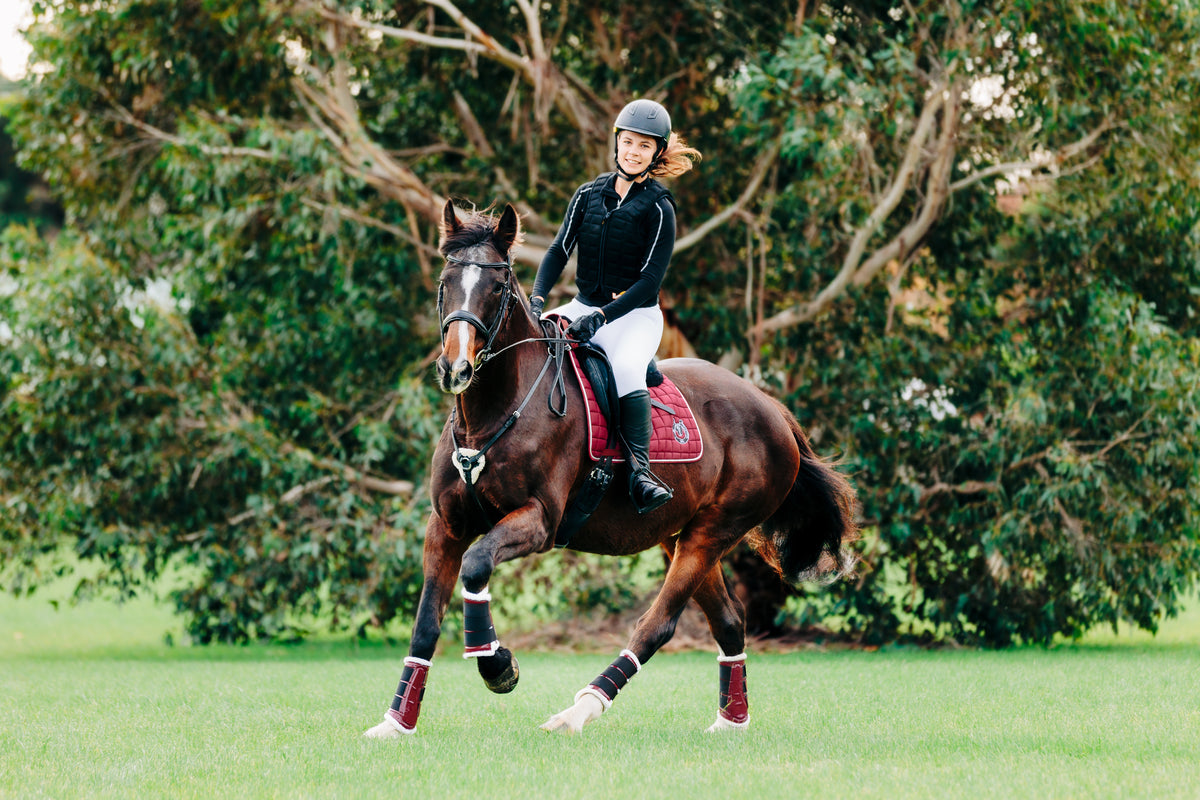 Huose Riding Gear Heavy Horse Supplies: Affordable Gear Designed for the Heavies
